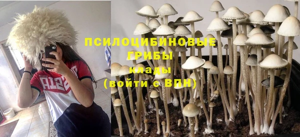мескалин Гусь-Хрустальный